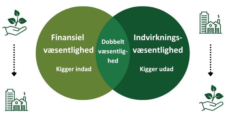 Dobbelt væsentlighed, dansk udgave.jpg