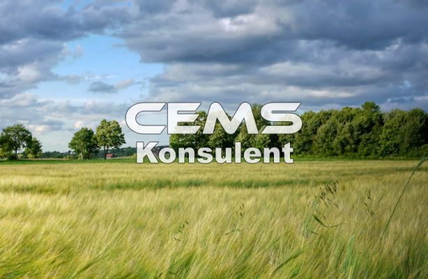 CEMS Konsulent